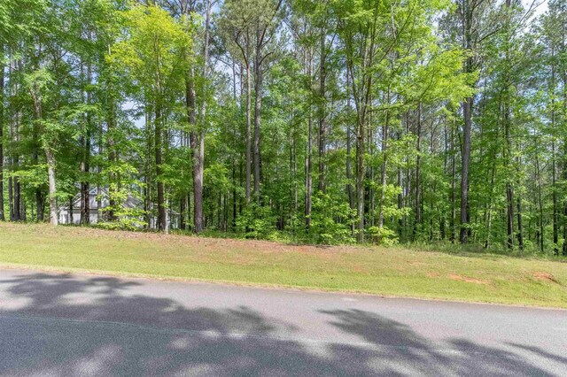 1141 Sunset Overlook, Greensboro, GA 30642 - photo 6