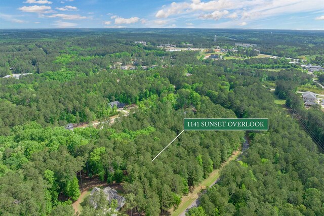 1141 Sunset Overlook, Greensboro, GA 30642 - photo 22