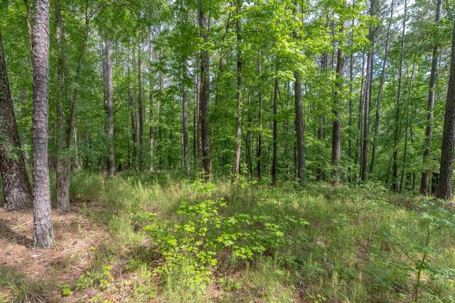 1141 Sunset Overlook, Greensboro, GA 30642 - photo 11