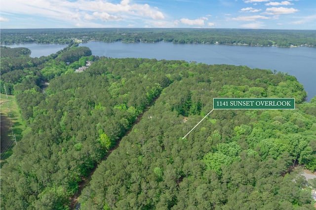 1141 Sunset Overlook, Greensboro, GA 30642 - photo 2
