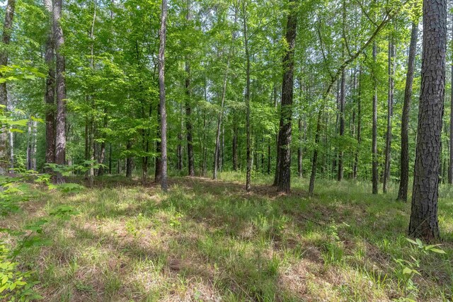 1141 Sunset Overlook, Greensboro, GA 30642 - photo 10