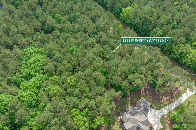 1141 Sunset Overlook, Greensboro, GA 30642 - photo 18