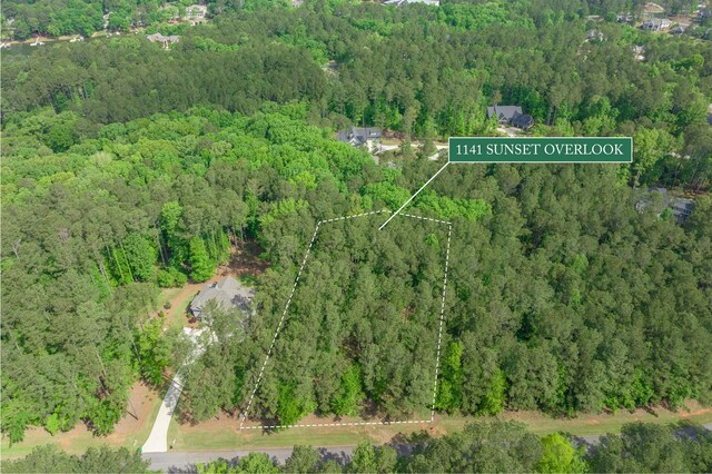 1141 Sunset Overlook, Greensboro, GA 30642 - photo 5