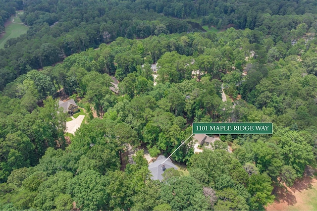 1101 Maple Ridge Way, Greensboro, GA 30642 - photo 34