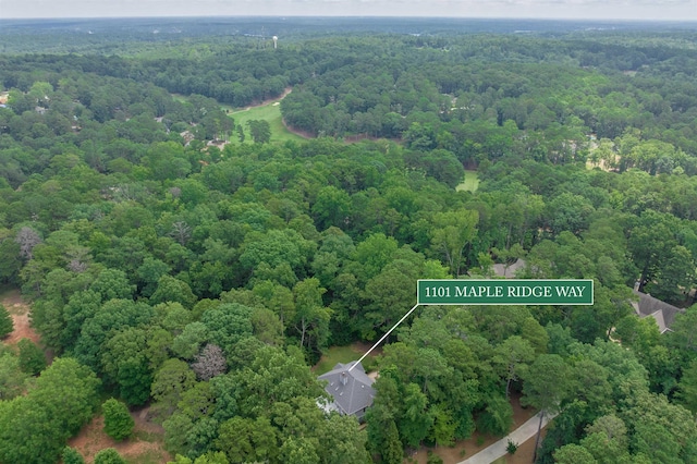 1101 Maple Ridge Way, Greensboro, GA 30642 - photo 39