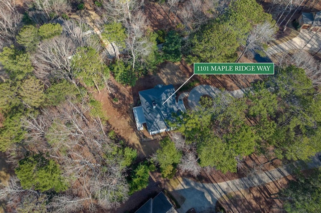 1101 Maple Ridge Way, Greensboro, GA 30642 - bird's eye view