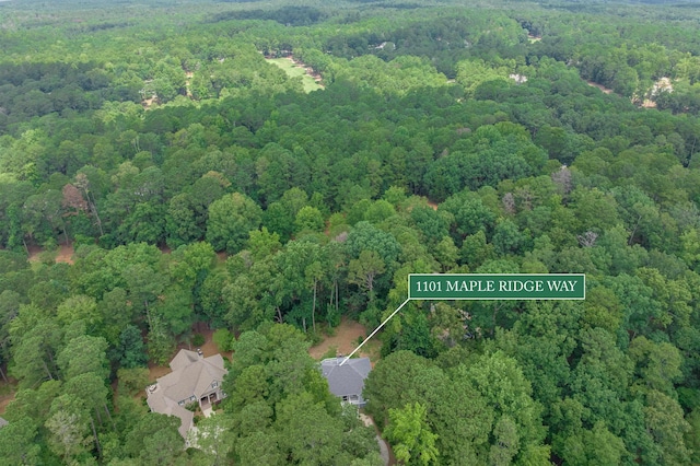 1101 Maple Ridge Way, Greensboro, GA 30642 - photo 38