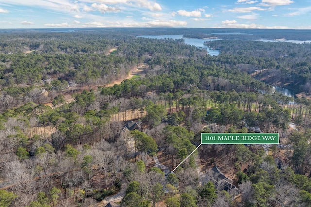 1101 Maple Ridge Way, Greensboro, GA 30642 - bird's eye view featuring a forest view and a water view