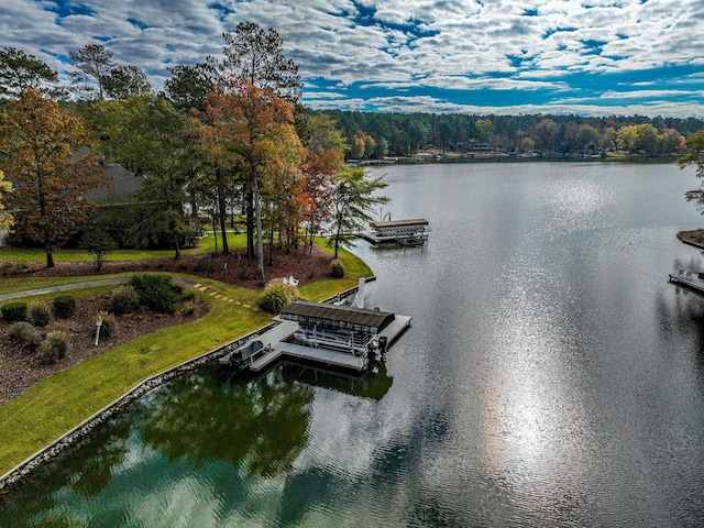 view of water feature with a dock