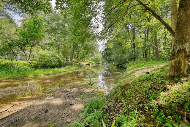 222 River Bend Dr, Eatonton, GA 31024 - view of community