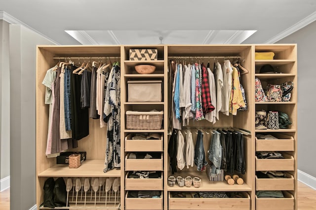 view of closet