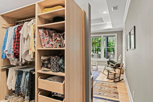 view of closet