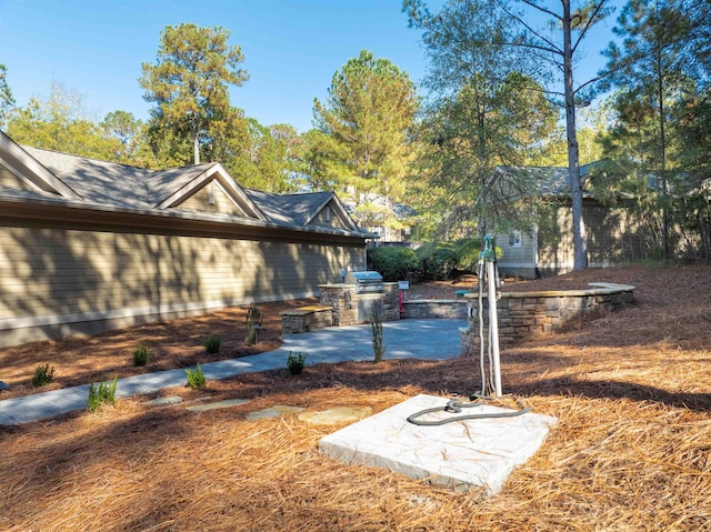 view of yard featuring a patio area