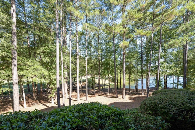 view of community featuring a water view