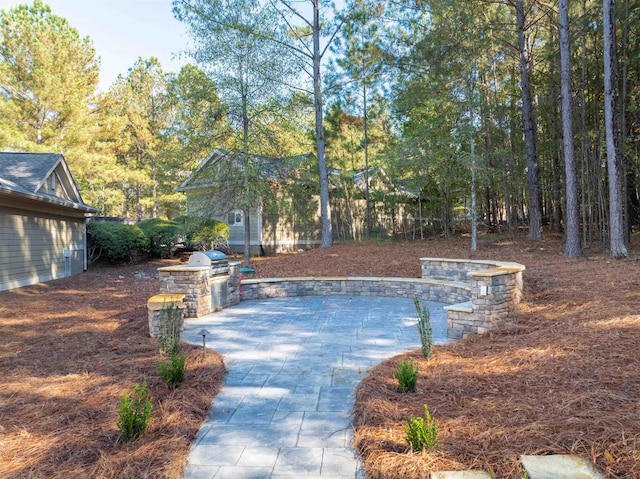 view of pool featuring a grill, a patio area, and an outdoor kitchen