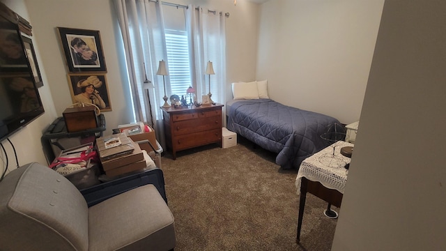  - view of carpeted bedroom