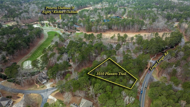 1010 Planters Trl, Greensboro, GA 30642 - photo 5