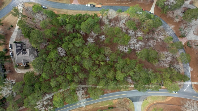 1010 Planters Trl, Greensboro, GA 30642 - photo 18