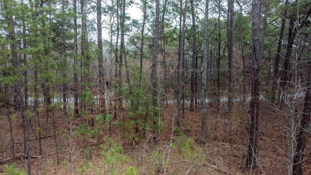 1010 Planters Trl, Greensboro, GA 30642 - photo 3