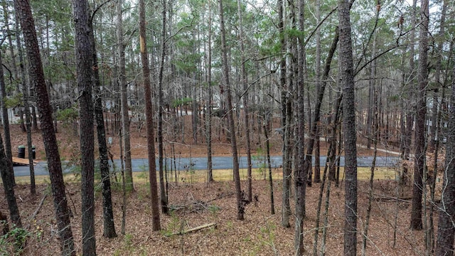 1010 Planters Trl, Greensboro, GA 30642 - photo 4