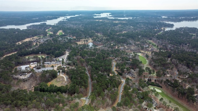 1010 Planters Trl, Greensboro, GA 30642 - photo 19