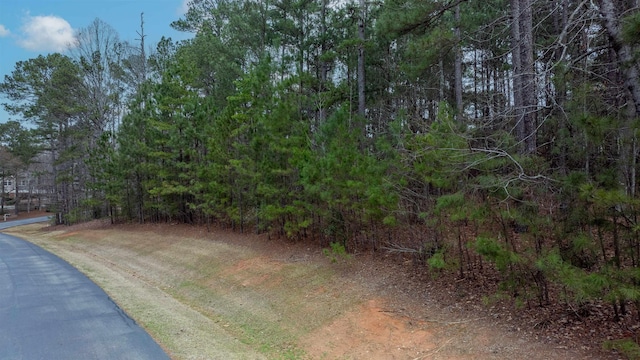 1010 Planters Trl, Greensboro, GA 30642 - photo 12