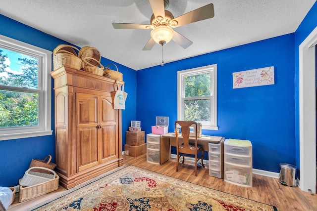 office space featuring hardwood / wood-style flooring, ceiling fan, and a textured ceiling