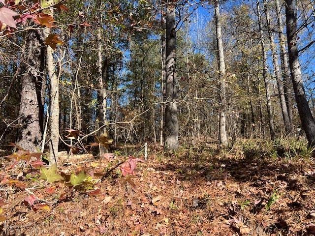 Listing photo 2 for LOT52 Bluegill Rd, Eatonton GA 31024