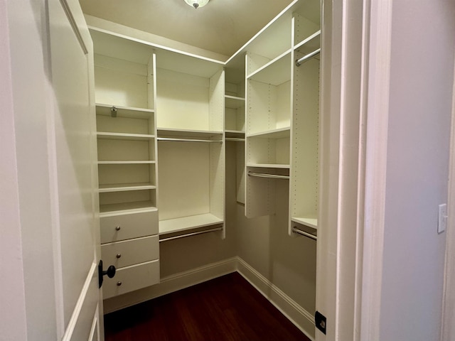 spacious closet with dark wood-style floors