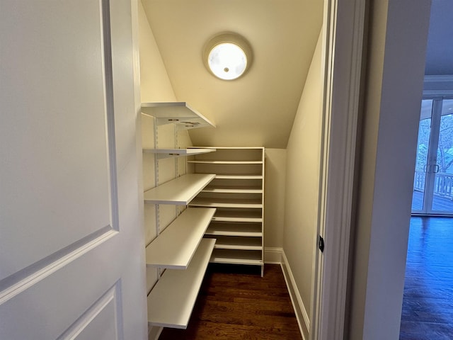 spacious closet with dark wood-type flooring