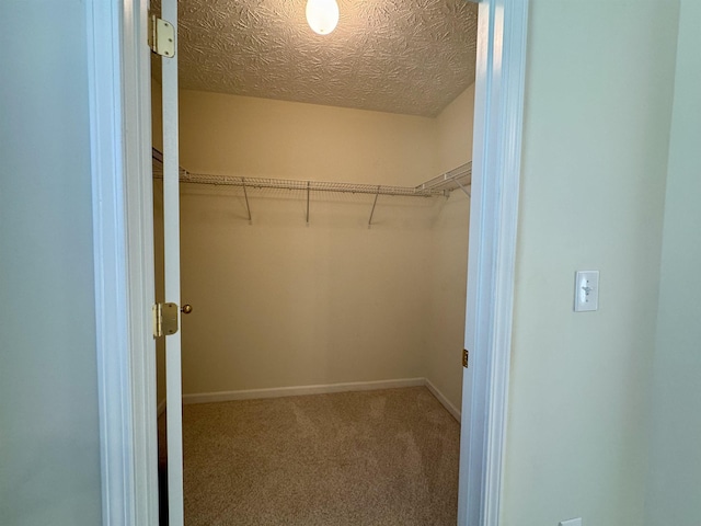 spacious closet with carpet flooring