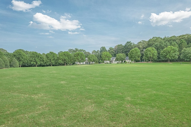 view of home's community with a yard