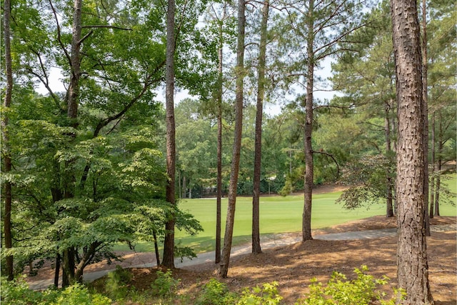 1141 Bachelors Run, Greensboro, GA 30642