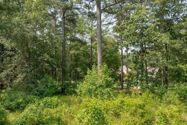 1141 Bachelors Run, Greensboro, GA 30642