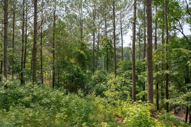 1141 Bachelors Run, Greensboro, GA 30642
