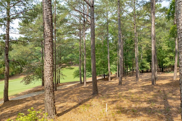 1141 Bachelors Run, Greensboro, GA 30642
