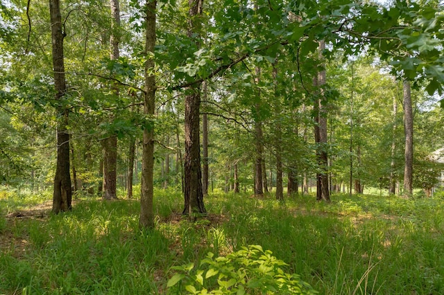 1141 Bachelors Run, Greensboro, GA 30642