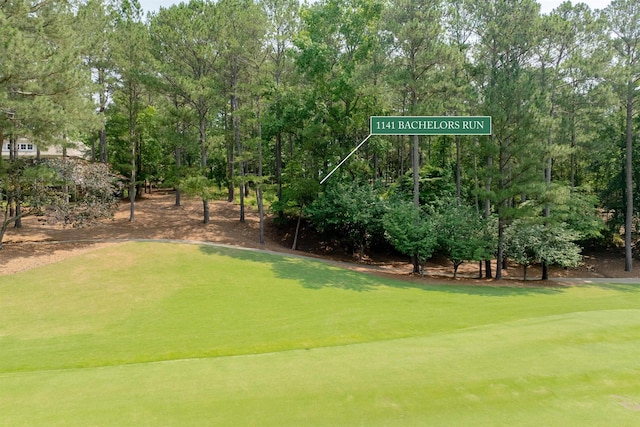 1141 Bachelors Run, Greensboro, GA 30642