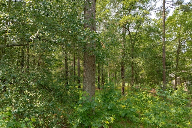 1141 Bachelors Run, Greensboro, GA 30642