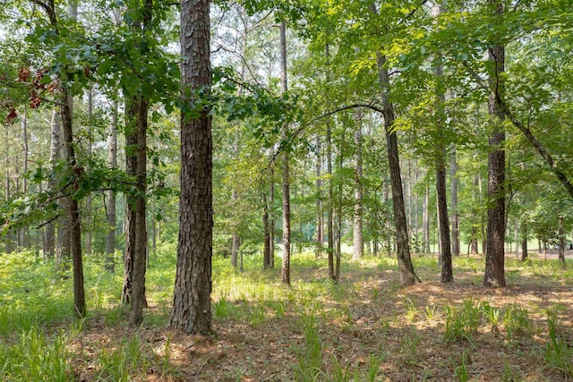 1141 Bachelors Run, Greensboro, GA 30642