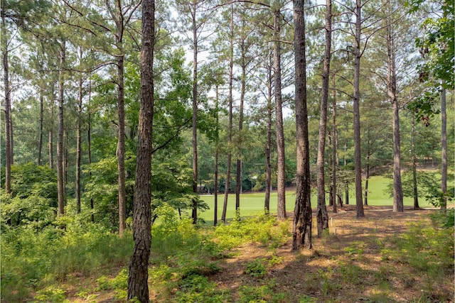 1141 Bachelors Run, Greensboro, GA 30642