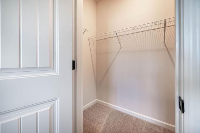 spacious closet with carpet flooring