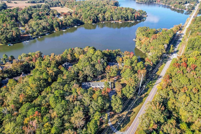 bird's eye view featuring a water view and a wooded view