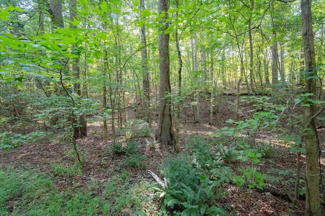 198.62/-AC Apalachee Woods Trl, Buckhead, GA 30625