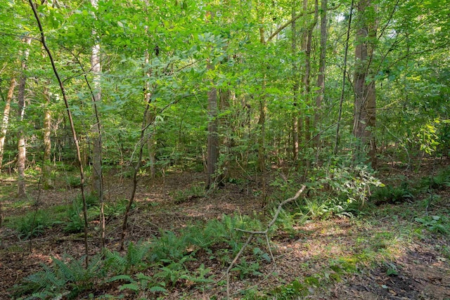 198.62/-AC Apalachee Woods Trl, Buckhead, GA 30625