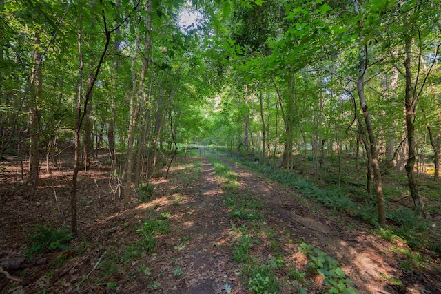 198.62/-AC Apalachee Woods Trl, Buckhead, GA 30625