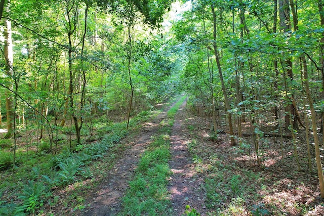 198.62/-AC Apalachee Woods Trl, Buckhead, GA 30625