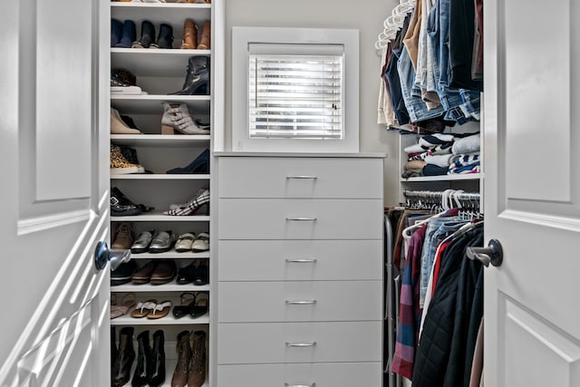 view of walk in closet