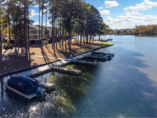 dock area with a water view