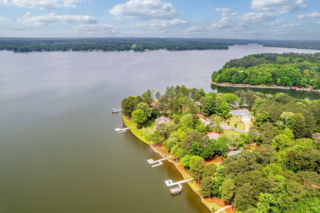 1420 Anchor Bay Dr, Greensboro, GA 30642 - photo 14